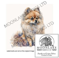 Pommersche Hundespritzer 100 %