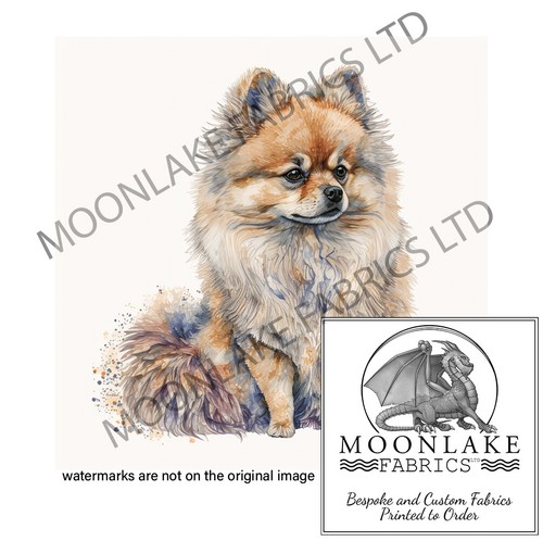 Pomeranian hundespritzer 100 - hundespritzer, 100%