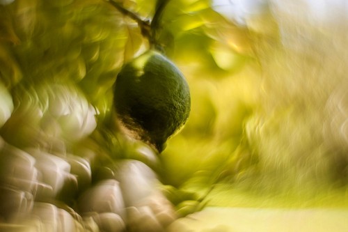 Helios 44m objektiv petzval - objektiv,
