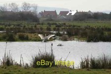 Photo 6x4 Conservation Ponds Spreading their Wings Sheepway The new devel c2009