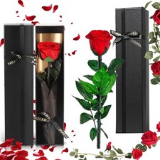 Valentinstag Infinity Rose