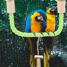 2x Große Papageien Vögel