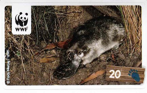 Rewe wwf tier abenteuer - wwf,