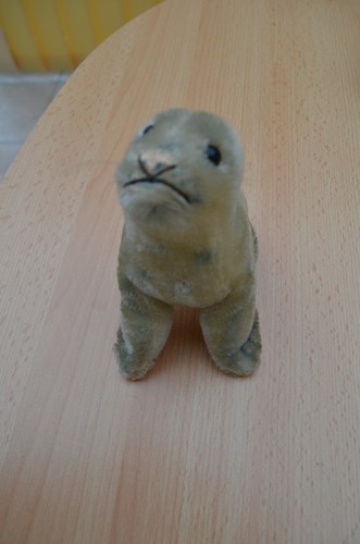Steiff robby robbe x 13 - ca., 12