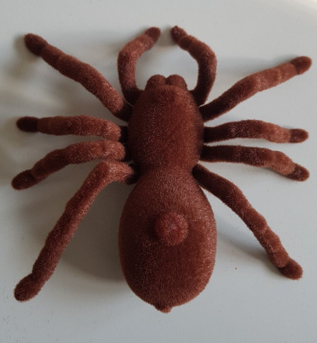 Xxl spinne spider - spinne,