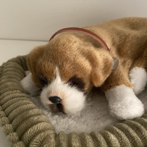 Perfekter petzzz schlafboxer - petzzz,