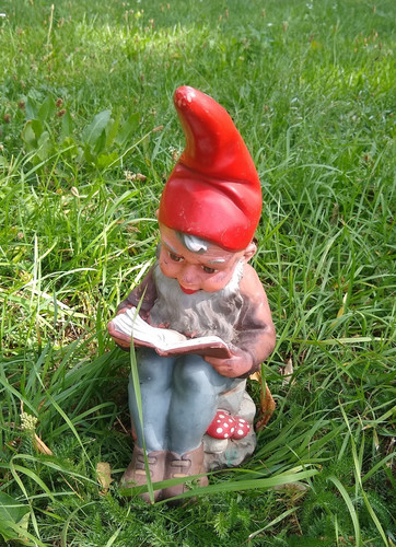 Alter gartenzwerg mit buch - gartenzwerg,
