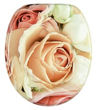 TOILETTENDECKEL WC SITZ