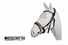 Englisch Trense Dressur Zaum