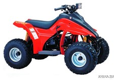 WERKSTATTHANDBUCH HYOSUNG WOW