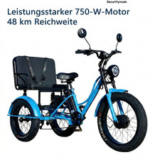 Elektro Dreirad 750W48V