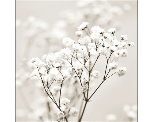 Glasbild meadow flowers - glasbild, i
