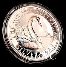 Australien 2019 - Schwan - 1