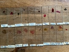 113 Objektträger Mikroskop