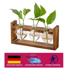 Handgefertigte Pflanzenstation aus Borosilikatglas - Ideal für Innenräume