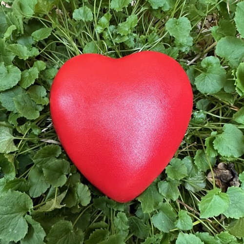 Herz grabherz grabschmuck - herz,