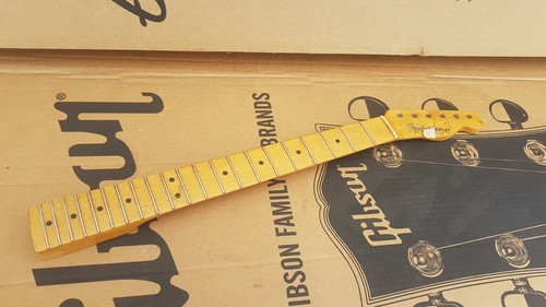 1982 fender bullet telly - 1982,