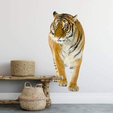 Wandtattoo Wandtattoo Real Tiger orange