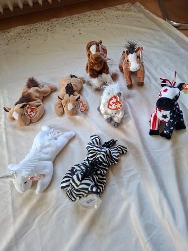 Beanie babys pferde sammlung - beanie,