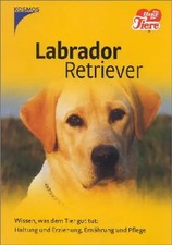 Labrador Retriever. Wissen