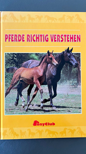 Ponyclub pferde richtig - ponyclub,