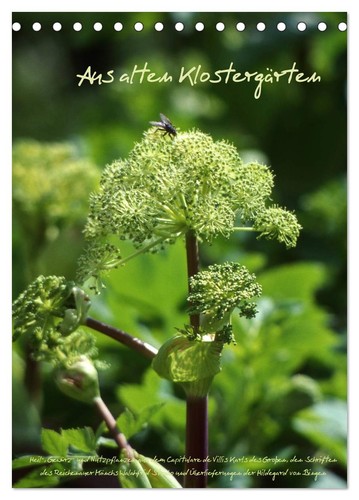 Aus alten klostergärten - aus,