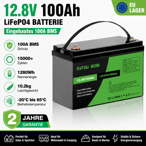 12v 100ah lifepo4 lithium - 12v,
