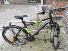 Zu verkaufen: Bulls Sharptail