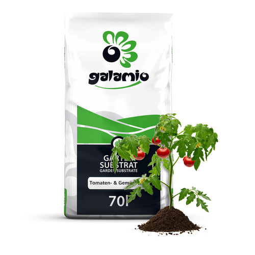 Galamio tomaten - galamio®, &