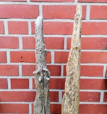 Treibholz Schwemmholz Stele Skulptur Deko Statue  Schiffsbohrmuschel 2 Stck.