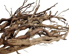 5er Set große Wurzeln mit