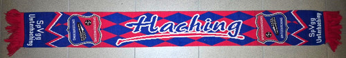 Spvgg unterhaching schal - spvgg,
