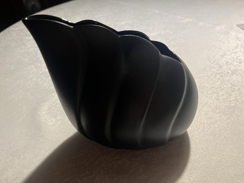 Rosenthal schwarze muschel - rosenthal,