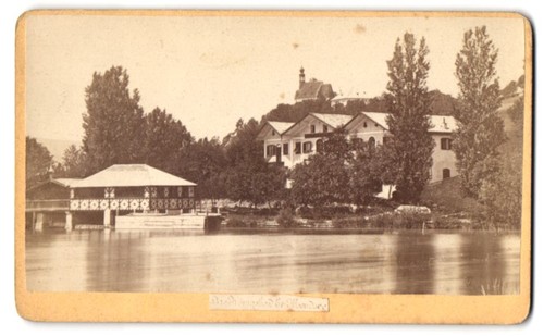 Fotografie kohaut - fotografie,