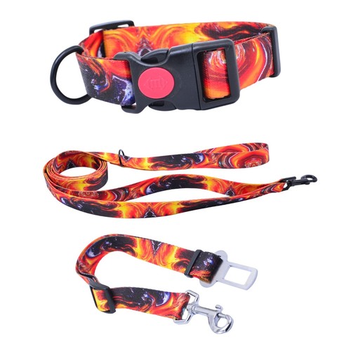 Hundehalsband set leine - leine, auto