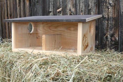 Eichhörnchen futterstation - ,