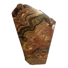 0,35Kg Stromatolith Anschliff