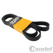 CONTINENTAL KEILRIEMEN