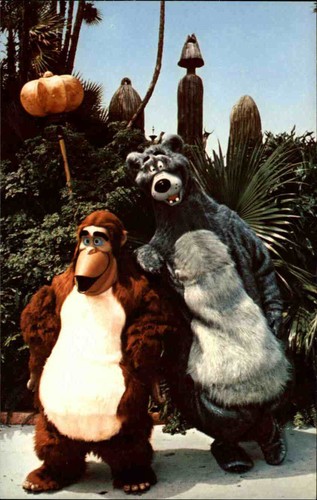 Walt disney world - walt, bear