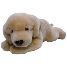 JMV Süßer Golden Retriever