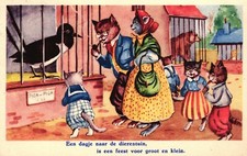 Katze, Katzen im Zoo, 1954