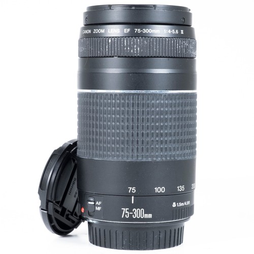 Canon 300mm 5 6 - 75-300mm, iii