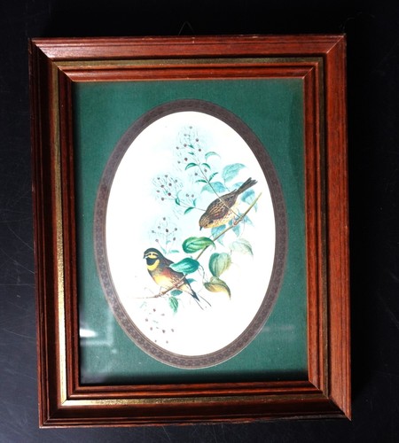 Zwei wandbilder birds - zwei, wandbilder,