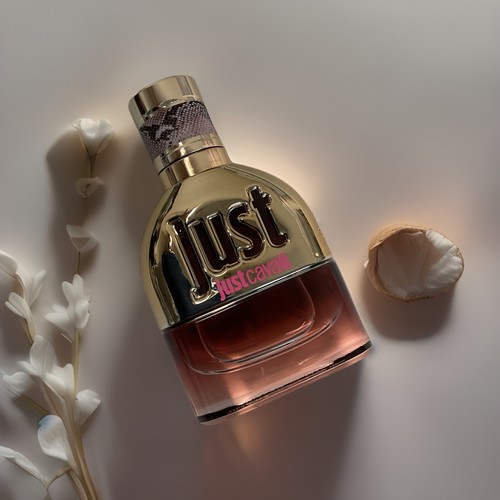 Just cavalli roberto - cavalli, by
