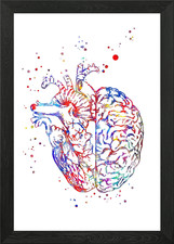 Gehirn und Herz Gerahmtes