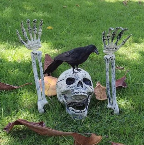 Halloween totenkopf knochen - halloween,