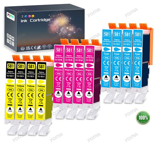 12x patronen xxl für pgi580 - patronen,