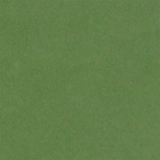 Tatzenstoff - Pfotenstoff -