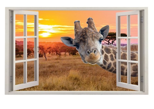 Gefälschte fenster - 3d,