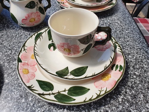 Villeroy boch wild - wild, 6
